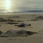 The Year Earth Changed - galeria zdjęć - filmweb