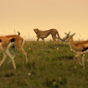 The Year Earth Changed - galeria zdjęć - filmweb
