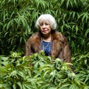 Family Business - galeria zdjęć - filmweb