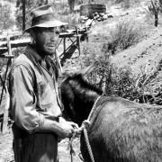 The Treasure of the Sierra Madre - galeria zdjęć - filmweb