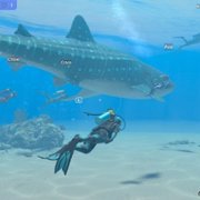 Endless Ocean Luminous - galeria zdjęć - filmweb