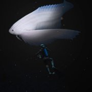 Endless Ocean Luminous - galeria zdjęć - filmweb