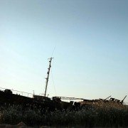 Bedone marz - galeria zdjęć - filmweb