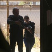 El Jardín de Bronce - galeria zdjęć - filmweb