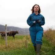 Héraðið - galeria zdjęć - filmweb