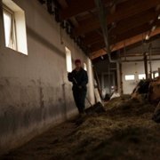 Héraðið - galeria zdjęć - filmweb