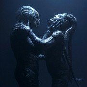 Gatunek 3 - galeria zdjęć - filmweb