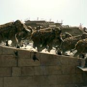 10.000 B.C. - galeria zdjęć - filmweb