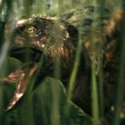 10,000 BC - galeria zdjęć - filmweb
