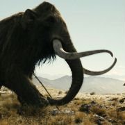 10,000 BC - galeria zdjęć - filmweb
