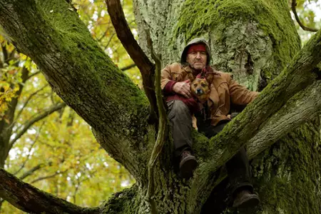 Las, 4 rano - galeria zdjęć - filmweb