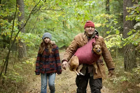 Las, 4 rano - galeria zdjęć - filmweb