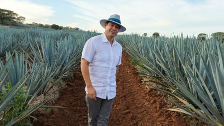 Sezon 2 Odcinek 7 Test Drives & Test Screenings