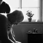 Las - galeria zdjęć - filmweb