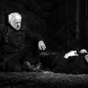 Las - galeria zdjęć - filmweb