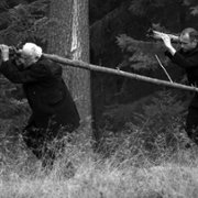 Las - galeria zdjęć - filmweb