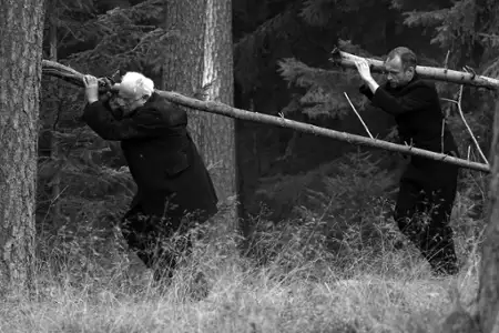 Las - galeria zdjęć - filmweb