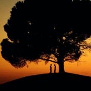 Heaven - galeria zdjęć - filmweb