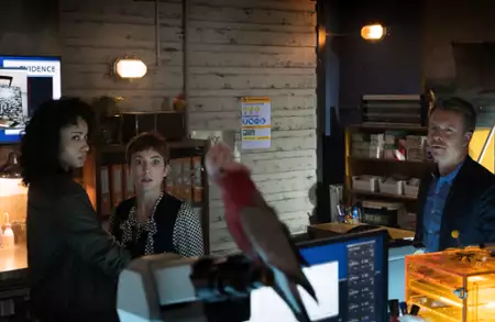 Agenci NCIS: Sydney - galeria zdjęć - filmweb