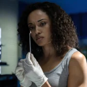 NCIS: Sydney - galeria zdjęć - filmweb