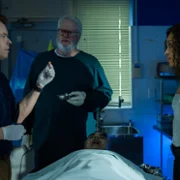 NCIS: Sydney - galeria zdjęć - filmweb