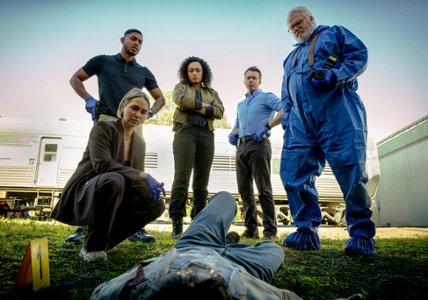 Sezon 3 Odcinek 7 Gold Digger