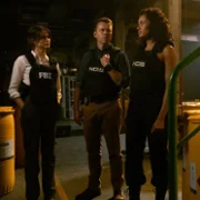 Agenci NCIS: Sydney - galeria zdjęć - filmweb