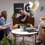 Pet Stars - galeria zdjęć - filmweb