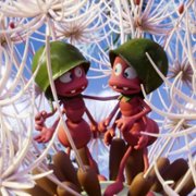 Pszczółka Maja: Mały wielki skarb - galeria zdjęć - filmweb