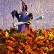 Coco - galeria zdjęć - filmweb