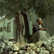Incendies - galeria zdjęć - filmweb