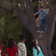 Raven na chacie - galeria zdjęć - filmweb