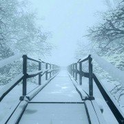 ShadowSide - galeria zdjęć - filmweb