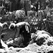 Zagubiony horyzont - galeria zdjęć - filmweb