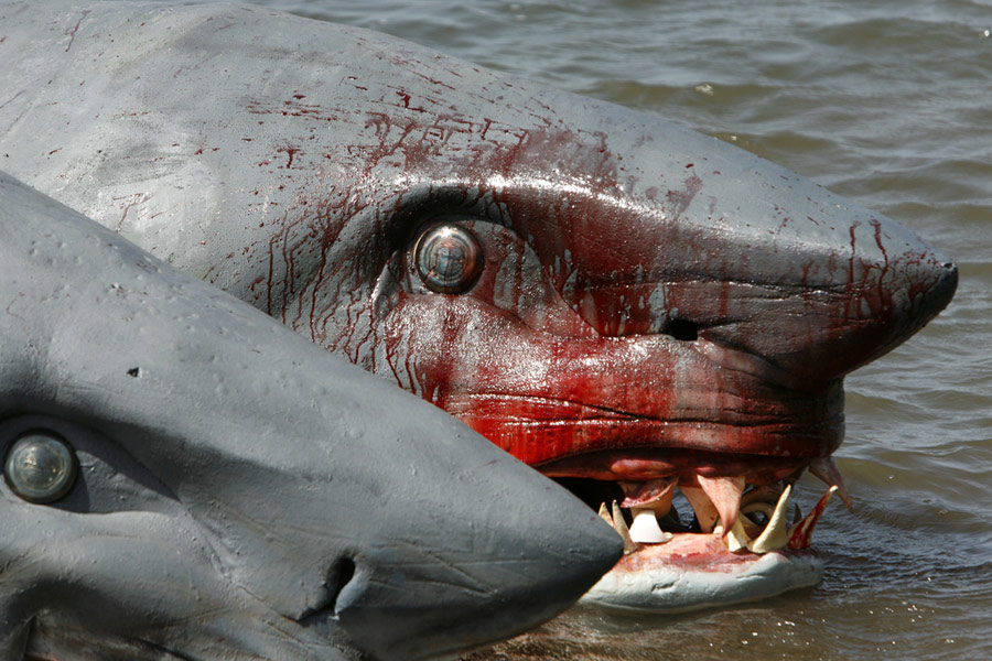 Dwugłowy rekin atakuje (2012) Filmweb
