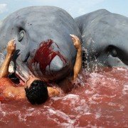 2-Headed Shark Attack - galeria zdjęć - filmweb