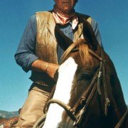 The Train Robbers - galeria zdjęć - filmweb