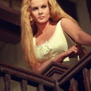 The Train Robbers - galeria zdjęć - filmweb