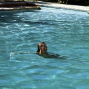 La piscine - galeria zdjęć - filmweb