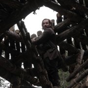 Barkskins - galeria zdjęć - filmweb