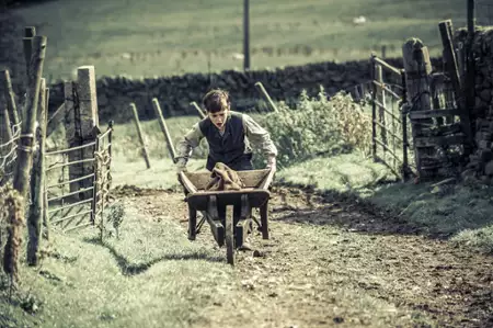 Osada - galeria zdjęć - filmweb