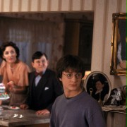 Harry Melling w Harry Potter i Komnata Tajemnic