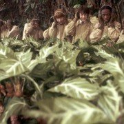 Harry Potter i Komnata Tajemnic - galeria zdjęć - filmweb