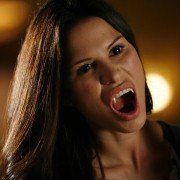The Gates - galeria zdjęć - filmweb