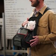 Superstore - galeria zdjęć - filmweb