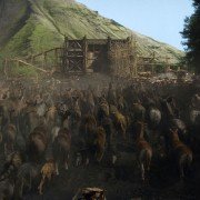 Noah - galeria zdjęć - filmweb