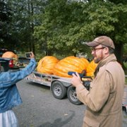 Dobre rady Johna Wilsona - galeria zdjęć - filmweb