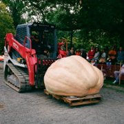 Dobre rady Johna Wilsona - galeria zdjęć - filmweb