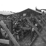 The Soul of America - galeria zdjęć - filmweb