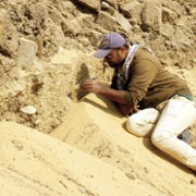 Secrets of the Saqqara Tomb - galeria zdjęć - filmweb